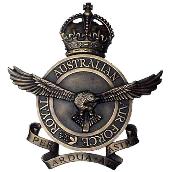 Official bronze plaque featuring government seal and inscription, designed for councils, city halls, and government facilities.