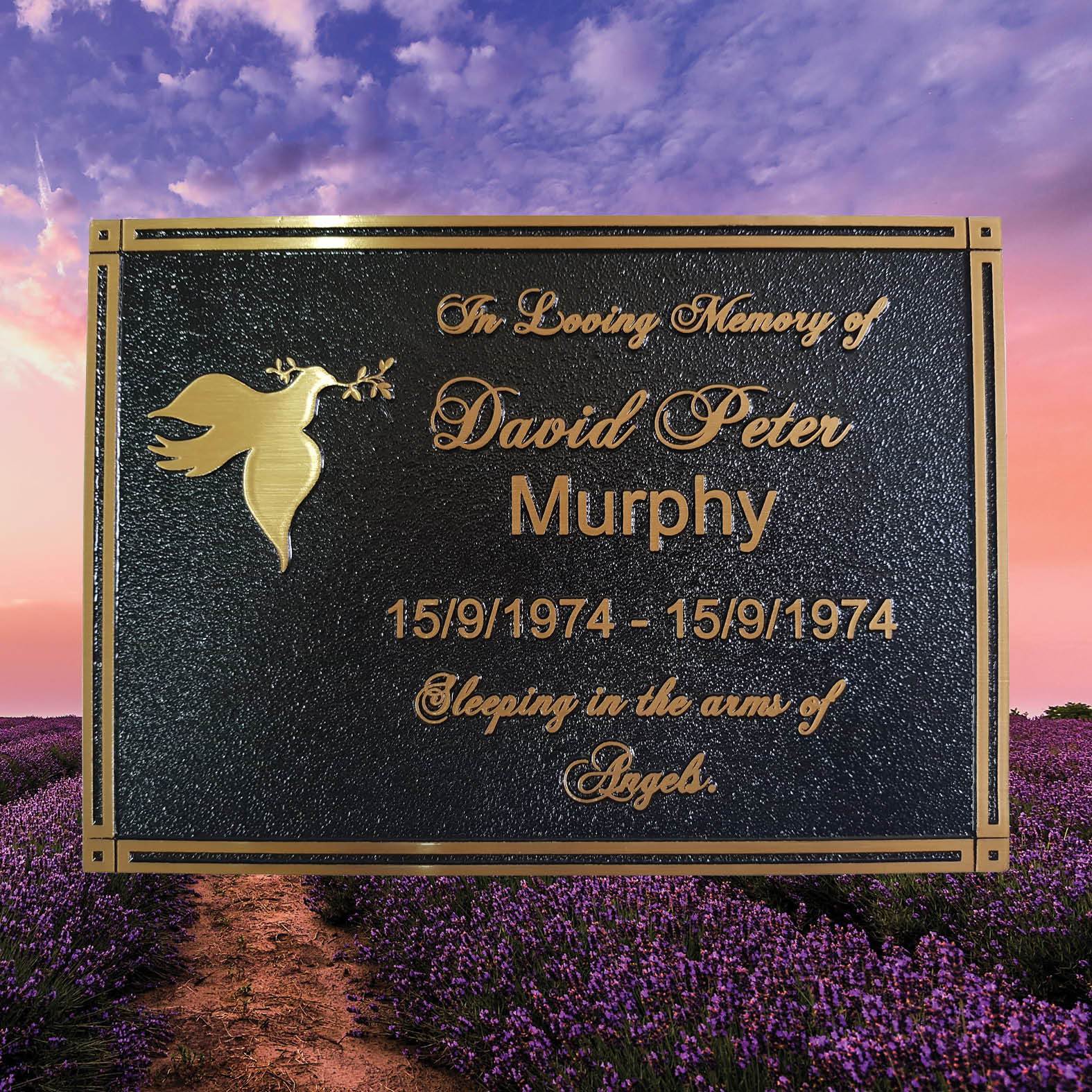Rectangular bronze memorial plaque with raised lettering and decorative border, dedicated to Murphy, suitable for cemetery memorials, heritage commemorations, and personalized dedications.