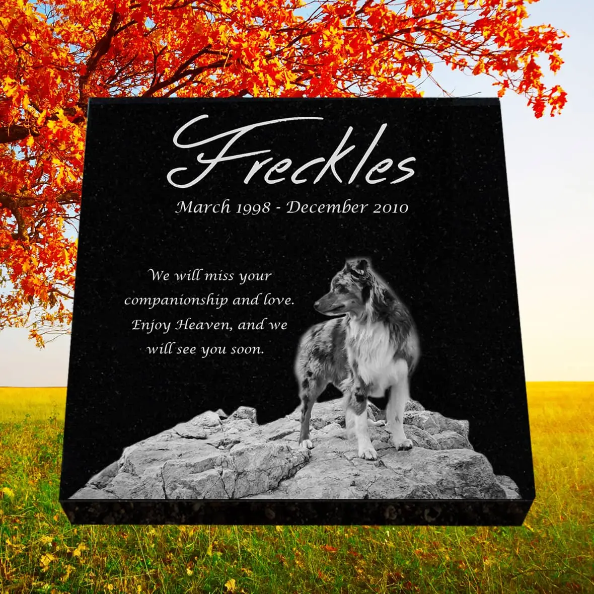 Laser-etched pet memorial plaque with engraved name, dates, and paw print graphic—crafted for outdoor use to honor a beloved companion.