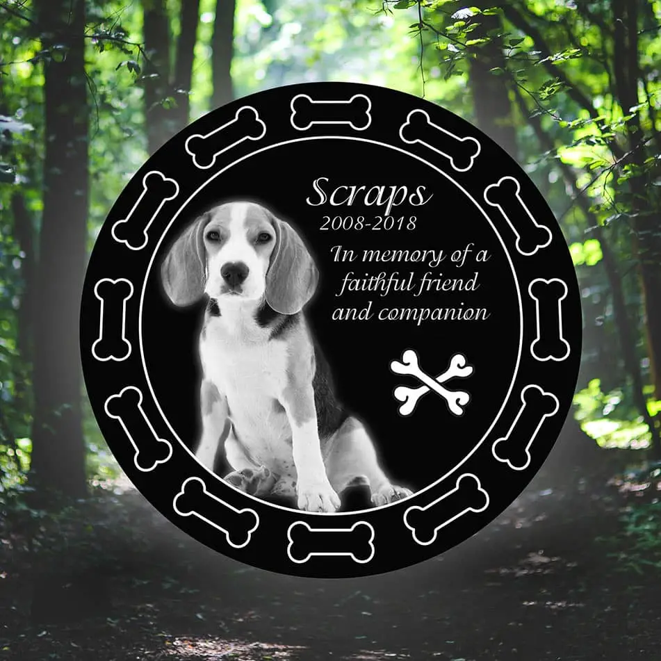 Laser-etched pet memorial rock featuring engraved name, paw print, and personalized tribute—designed for garden placement or outdoor remembrance.