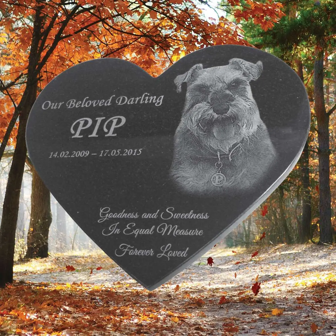 Laser-etched pet memorial rock with engraved name and paw print, designed for outdoor garden display as a lasting tribute to a beloved companion.
